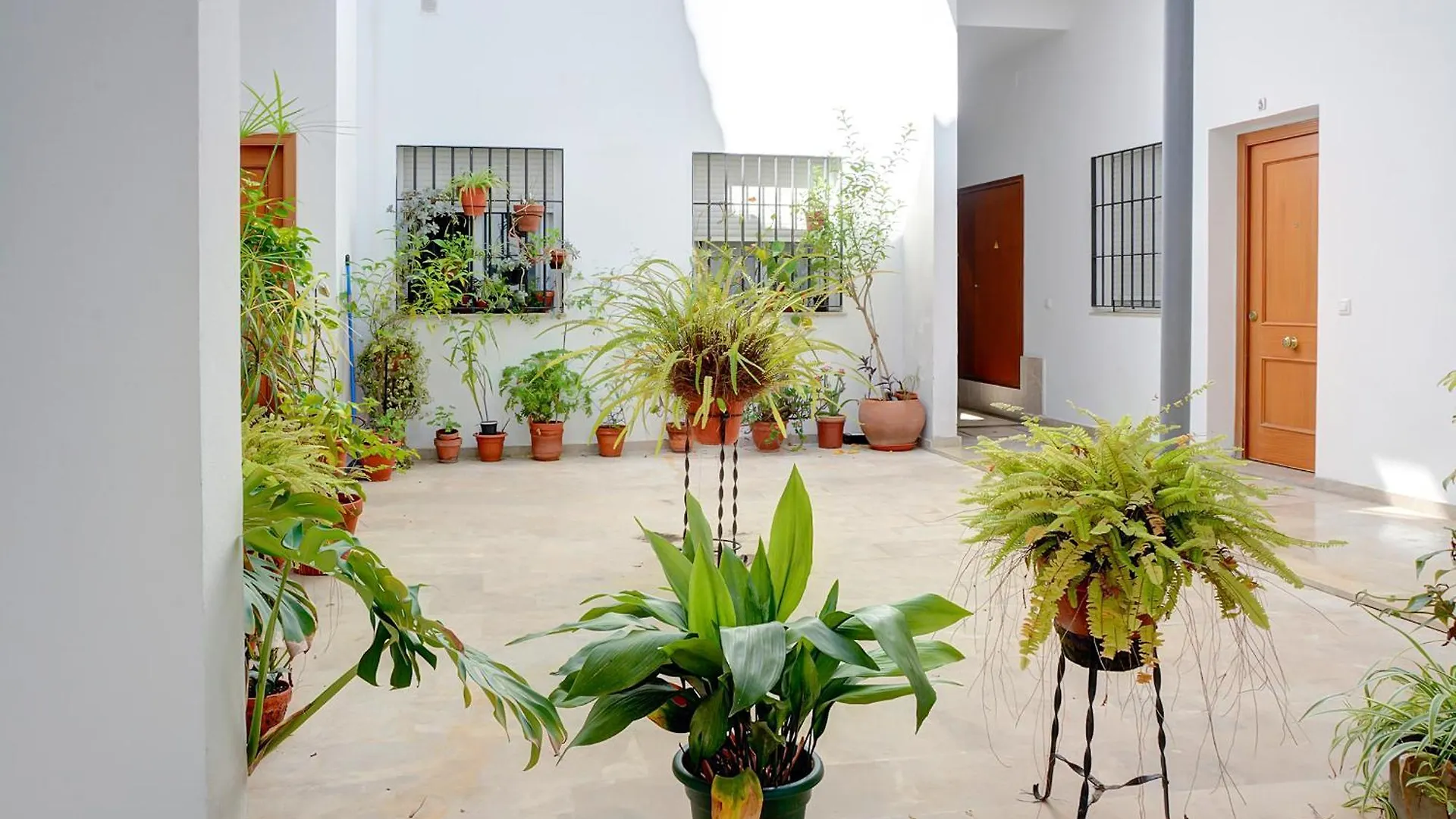 Apartment Magical Studio In The Center Feijoo Seville